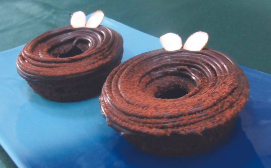 Pristine Ganache Cake Donut